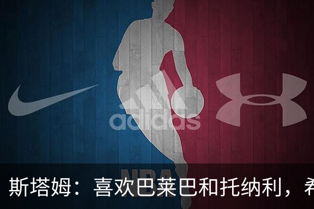 斯塔姆：喜欢巴莱巴和托纳利，希望他们能加盟曼联
